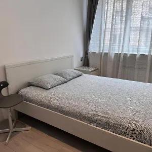 Comfortable Apartment
